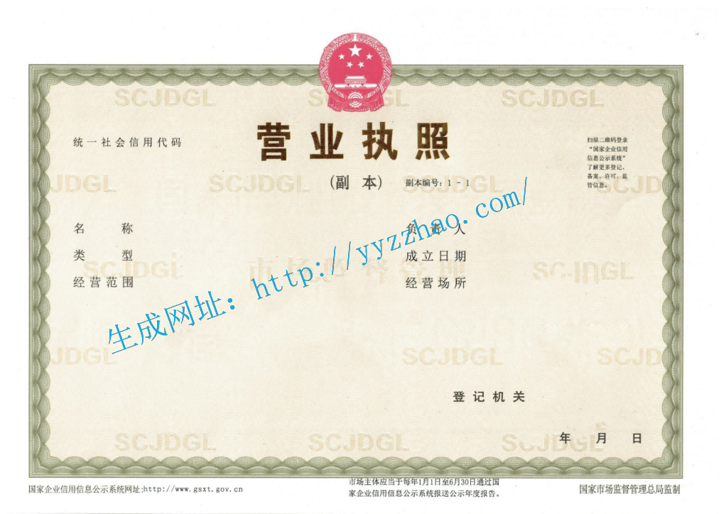 分公司营业执照示例
