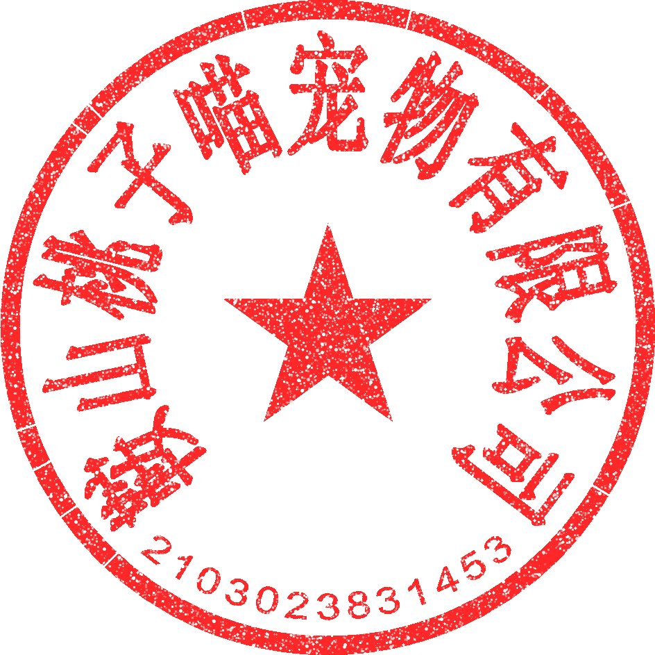 企业印章效果示例1