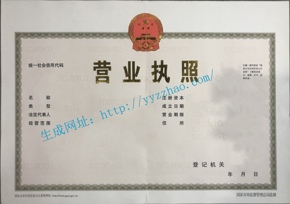 营业执照正本示例